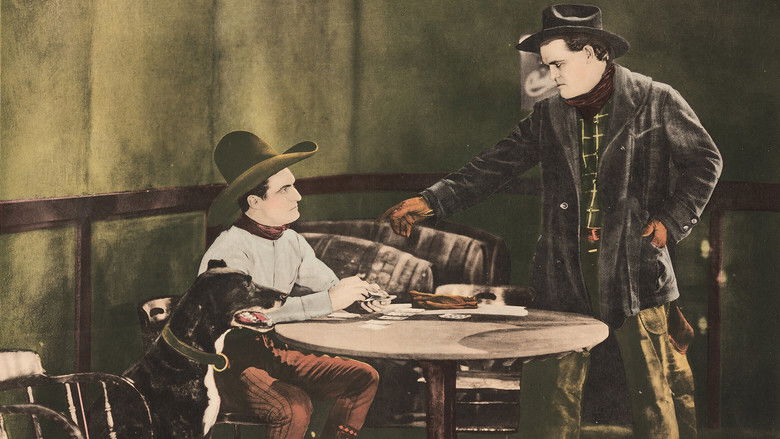 кадр из фильма The Night Horsemen