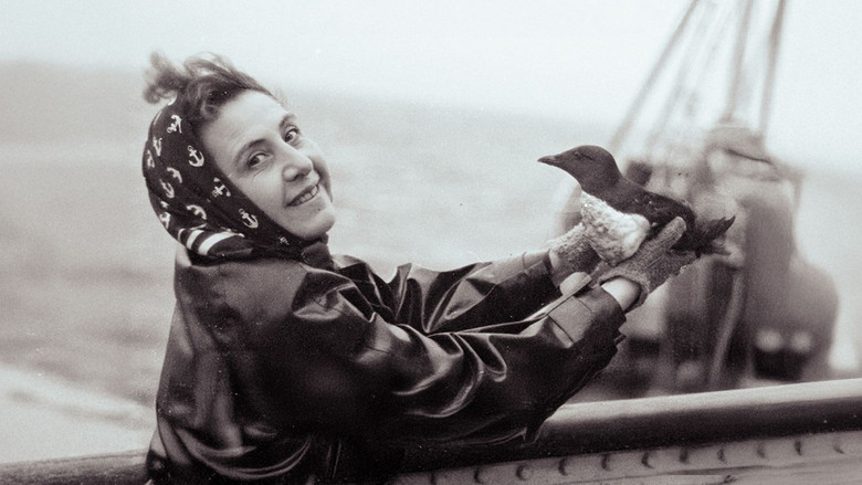 кадр из фильма Anita Conti, l'appel du large