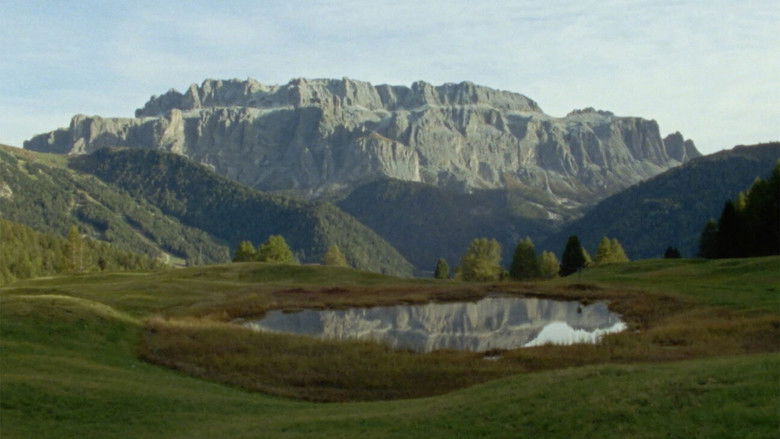 кадр из фильма Memory Is an Animal, It Barks with Many Mouths