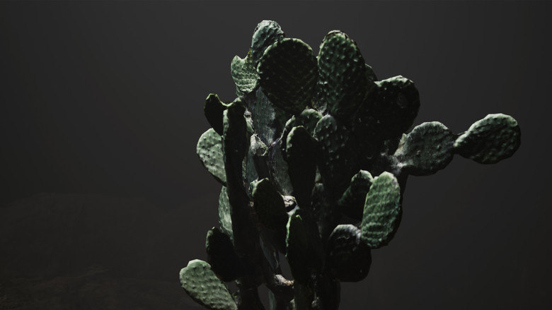 кадр из фильма No_mercy_in_Mexico