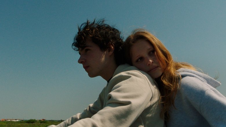 кадр из фильма À Rosa