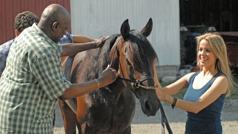 кадр из фильма Amazing Racer