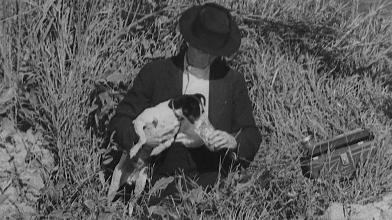 кадр из фильма The Timid Young Man