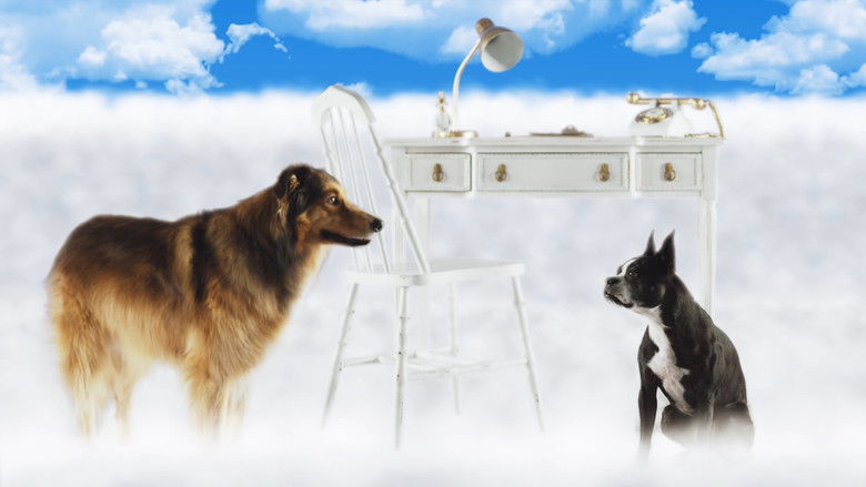 кадр из фильма Best Friend from Heaven