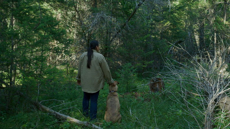 кадр из фильма Bitterroot