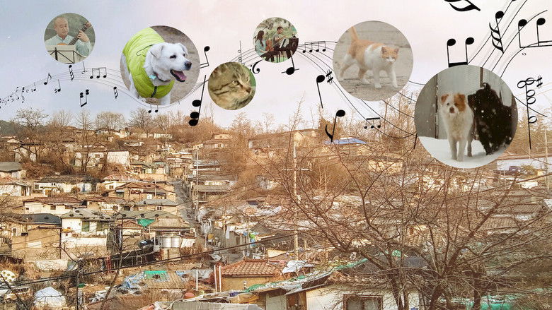 кадр из фильма 개와 고양이를 위한 시간