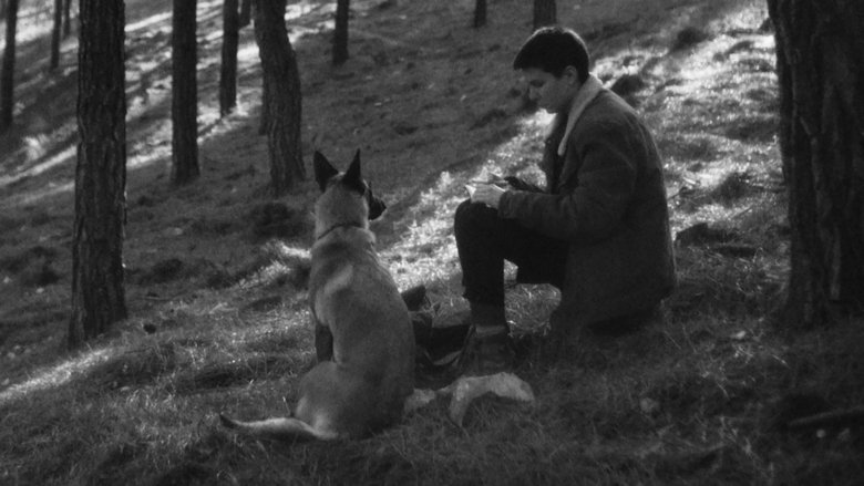 кадр из фильма Batim