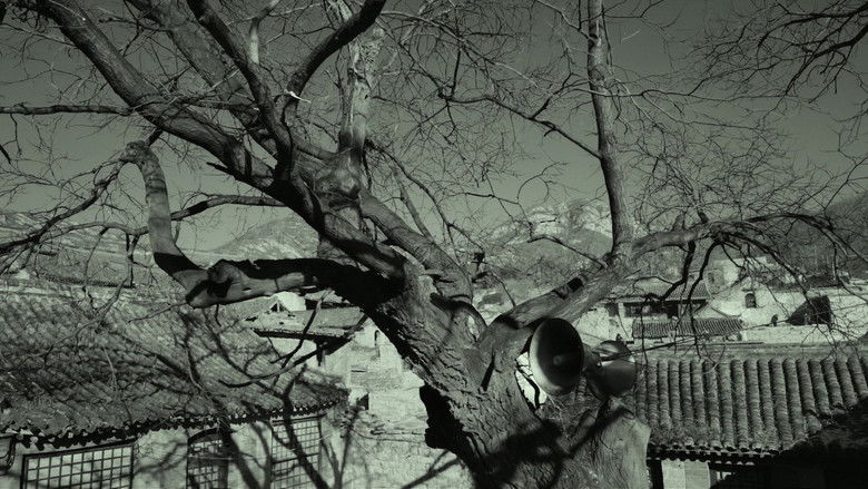 кадр из фильма 村戏