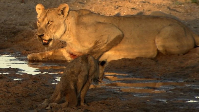 кадр из фильма Surviving the Drought