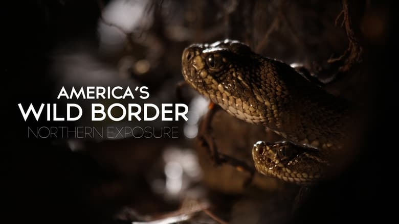 кадр из фильма America's Wild Border: Northern Exposure