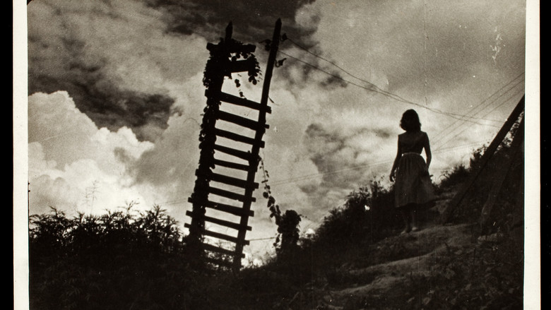 кадр из фильма O Gigante de Pedra