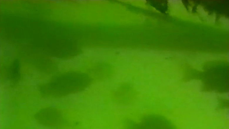 кадр из фильма The Call of the Sea