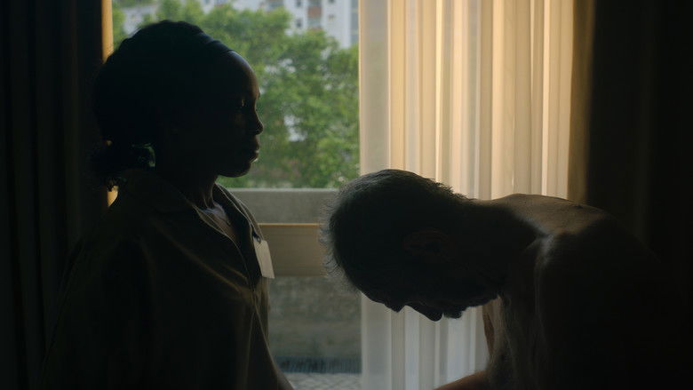 кадр из фильма A Memória do Cheiro das Coisas