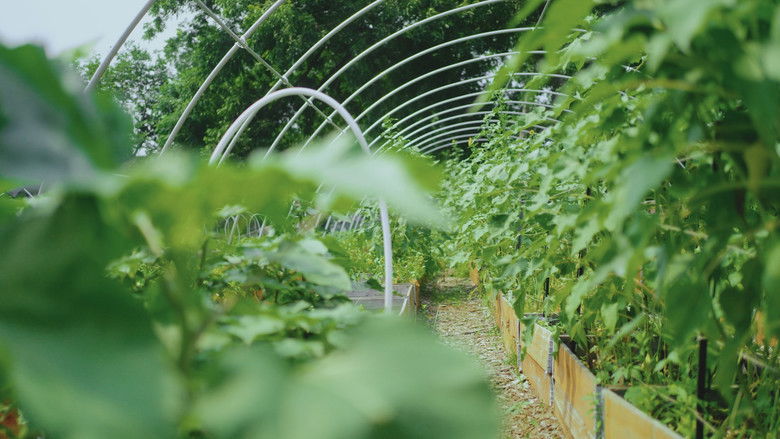 кадр из фильма Grow a Better Dallas