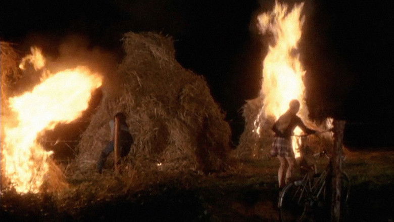 кадр из фильма Не избави нас от лукавого