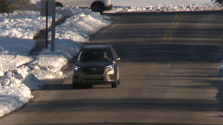 кадр из фильма The Shovelers