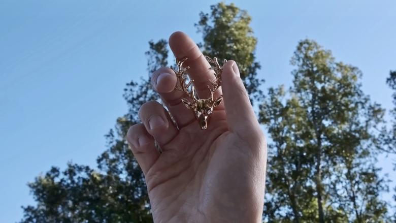 кадр из фильма Il Sogno di Adelchi