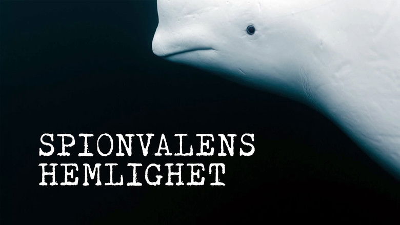 кадр из фильма Secrets of the Spy Whale