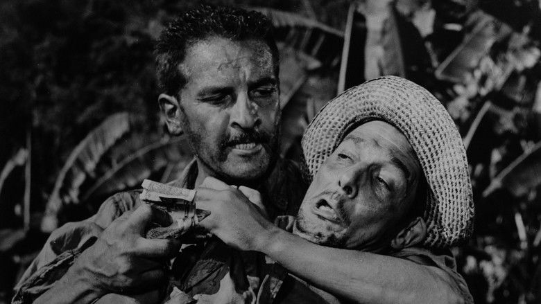 кадр из фильма Mãos Sangrentas