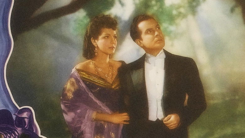 кадр из фильма The Mystery of Marie Roget