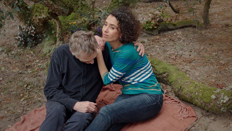 кадр из фильма O trio em mi bemol