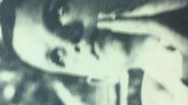 кадр из фильма Smoke