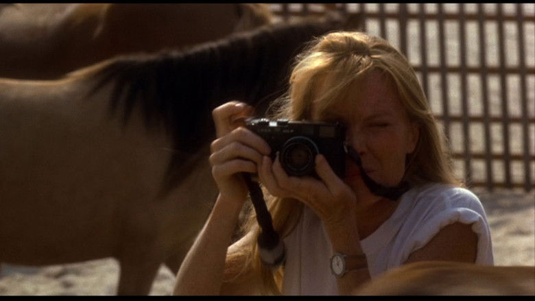 кадр из фильма Фиалки синие