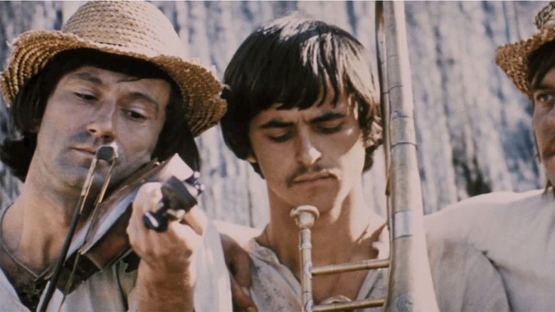 кадр из фильма Белая птица с чёрной отметиной