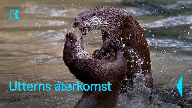 кадр из фильма The Otter: A Legend Returns