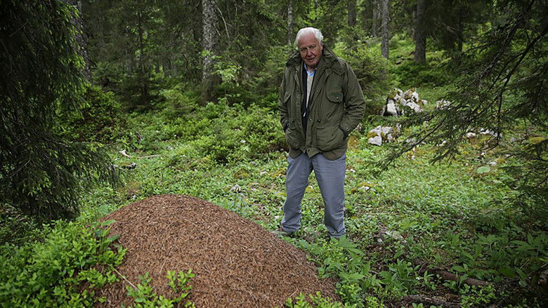 кадр из фильма Attenborough and the Empire of the Ants