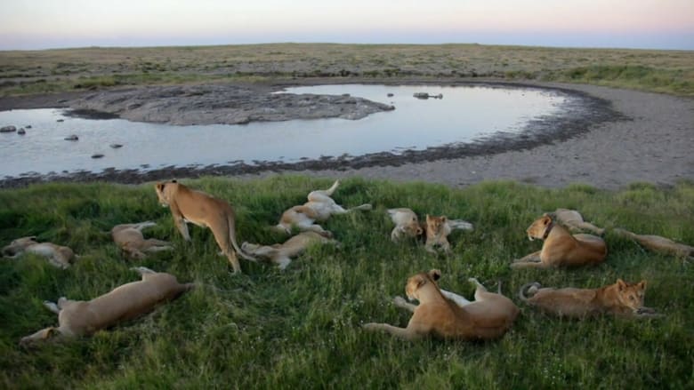 кадр из фильма The Lakeshore Killers