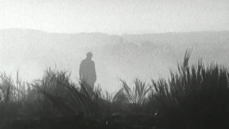 кадр из фильма Memory of the Unknown