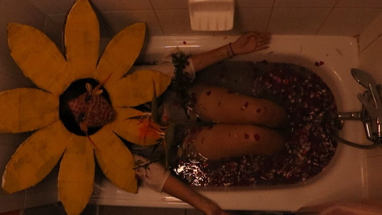 кадр из фильма te de girasol