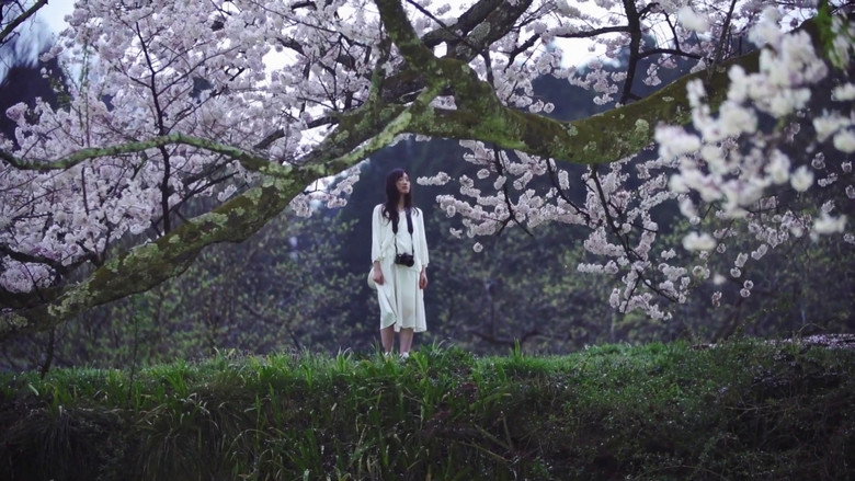 кадр из фильма さくら、手のひら