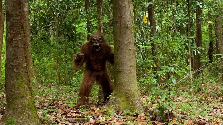 кадр из фильма Night Claws