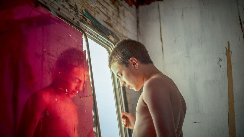 кадр из фильма Белое лето