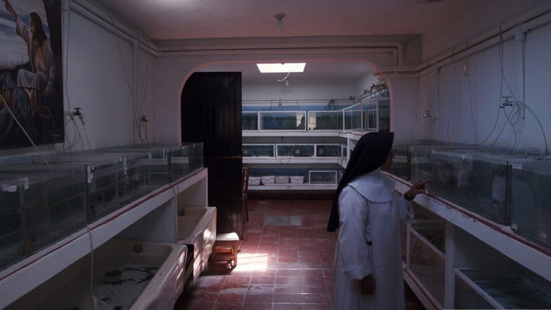 кадр из фильма A Common Sequence