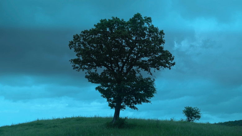 кадр из фильма Heavenly Rhymes