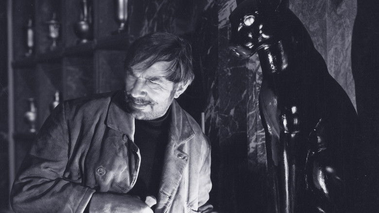 кадр из фильма The Black Cat