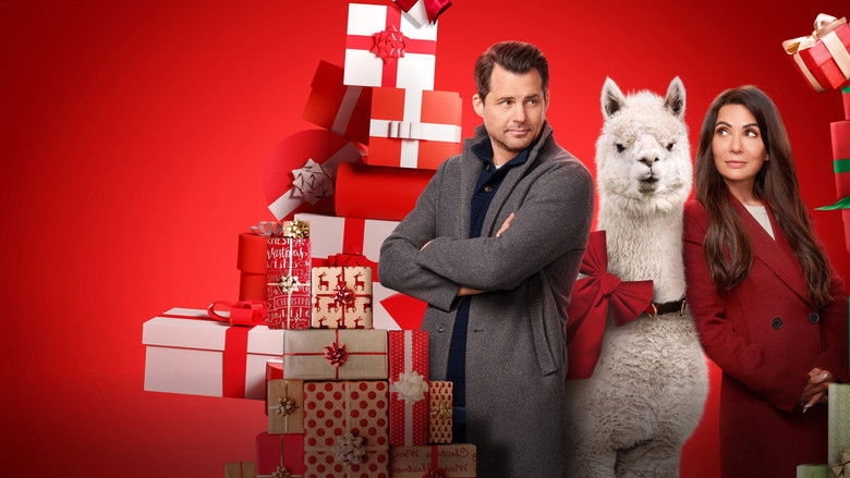 кадр из фильма We Wish You a Married Christmas