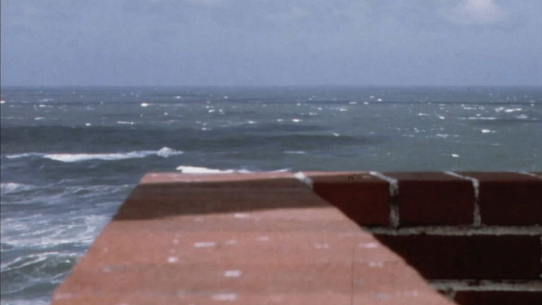 кадр из фильма Arbor Vitae