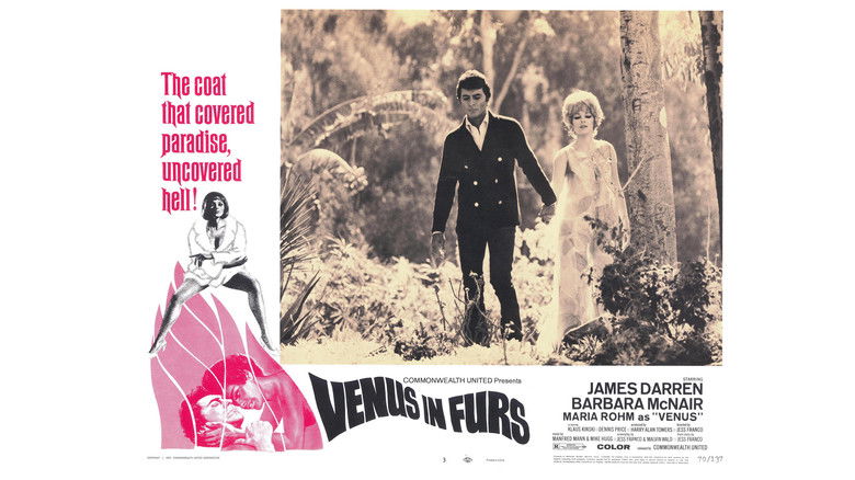кадр из фильма Венера в мехах
