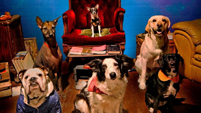 кадр из фильма De patitas a la calle