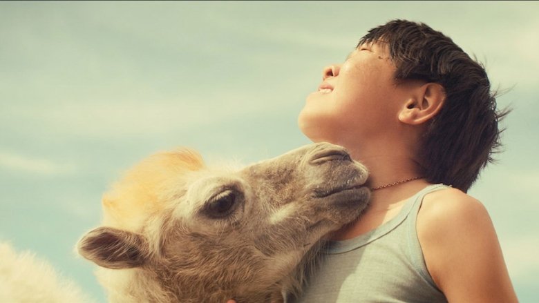 кадр из фильма Небесный верблюд