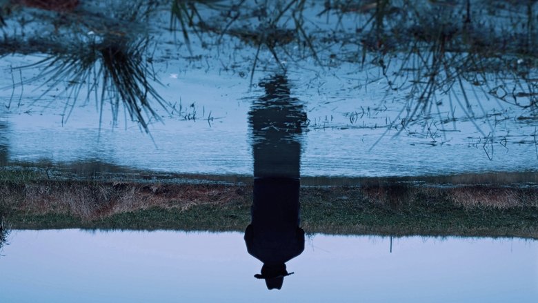 кадр из фильма Короткая история