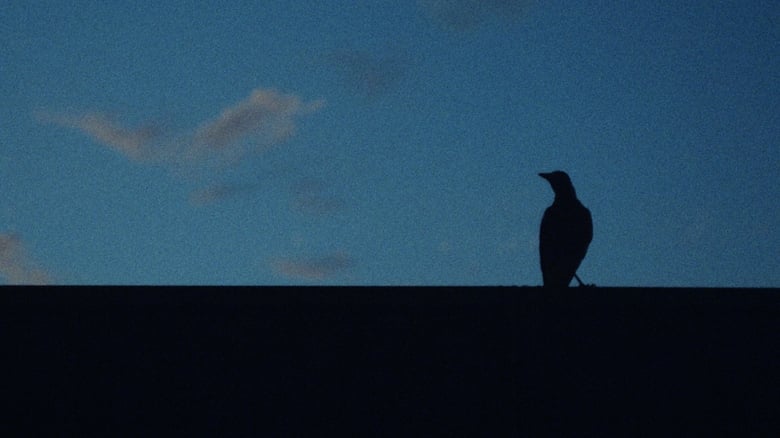 кадр из фильма A Sign of Things