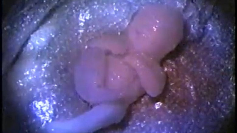 кадр из фильма Busted Babies