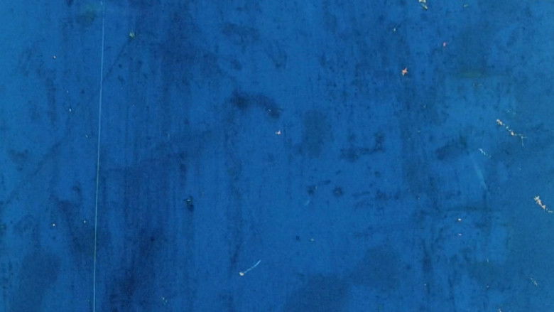 кадр из фильма Sound of a Million Insects, Light of a Thousand Stars