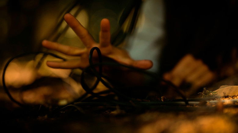 кадр из фильма Nexum