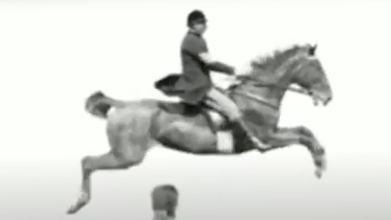 Pferd und Reiter Springen Über ein Hindernis